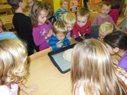 Pečeme chleba, housky, rohlíky, koláče